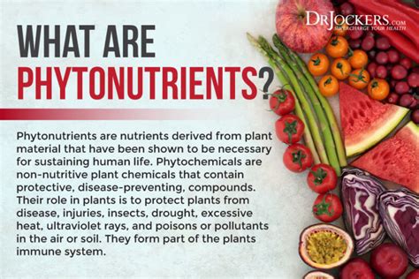 phytonutrients what are they benefits and sources