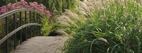 Check spelling or type a new query. LSI - Landscape Services