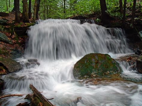 Free Images Forest Waterfall Creek Hiking River Stream Spring