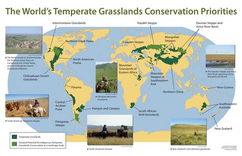 Temperate Grasslands Biome Map