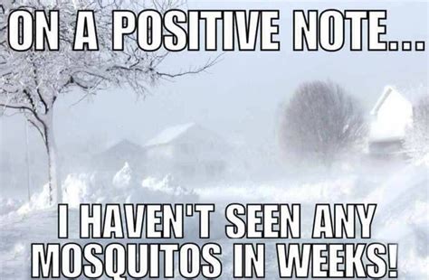 Pin By Justine Smith On Just For Laughs Cold Weather Funny Weather