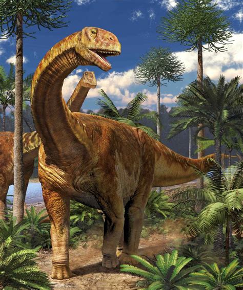Los restos fósiles del adamantisaurio se han descubierto, sobre todo, en américa del sur. La extraña pareja: El dinosaurio más grande de Europa ...