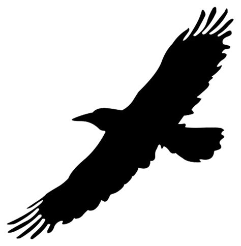 Silhouette Of Bird In Flight Png Swallow Silhouette Png Bird