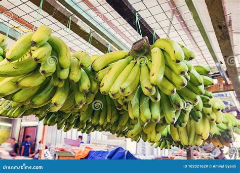 Defocus Shot Of Exotic Tropical Fruit Green Banana Display At Market