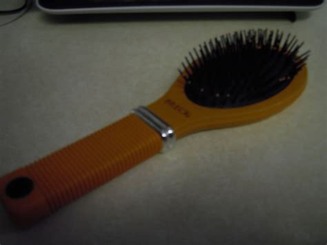 Hairbrush Here Is A Hairbrush Does Everyone Use A Hairbru Flickr