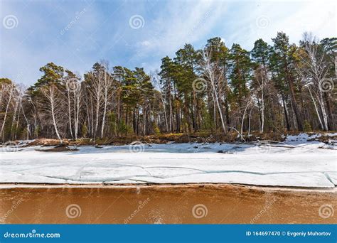 Spring Landscape Siberia Stock Photo Image Of Novosibirsk 164697470