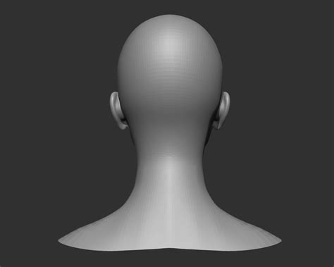 Male And Female Head Realistic Base Mesh 3d Model 3d Model Cgtrader