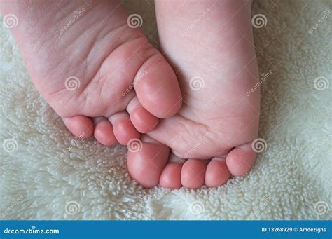 Cutest Feet Stock Image Image Of Babies Small Toes 13268929