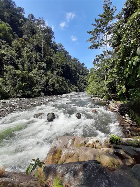 42 likes · 1 talking about this · 760 were here. Bukit Lawang, Indonesia stock image. Image of indonesia ...