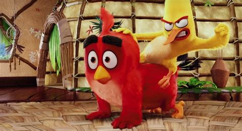 Primer Tr Iler De Angry Birds La Pel Cula Por Qu Est N Los P Jaros Enfadados