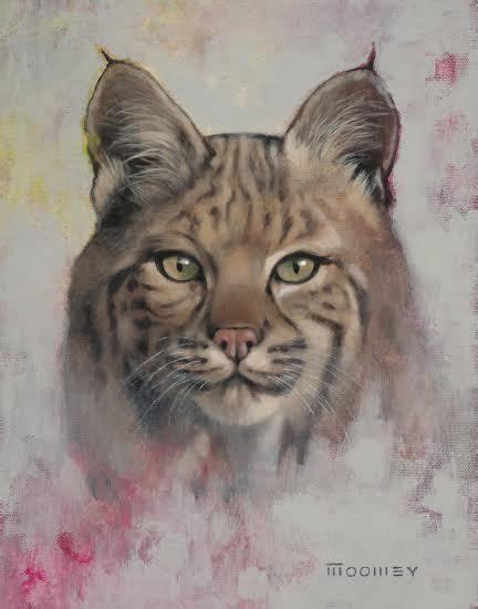 Arizona Wildcat Wild Cats Lion Art Animal Art