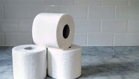 2 Ply Virgin Toilet Paper 48 Rolls Jo Slow Paper Toilet Paper In