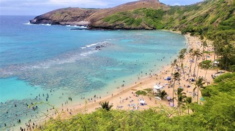 Snorkeling In Hanauma Bay The Wanderful Moments