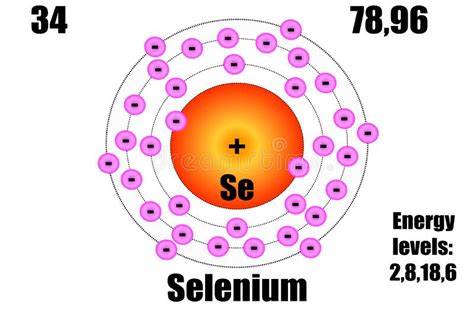 Selenium Atom With Mass And Energy Levels Stock Illustration