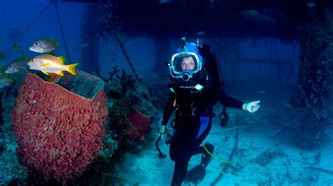 ‘onward And Downward Legendary Oceanographer Sylvia Earle On Her Hope