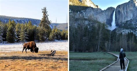 Yosemite Vs Yellowstone Landscape Or Wildlife How To Choose