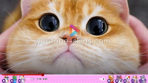 Cute Cats Skin For Youtube Player