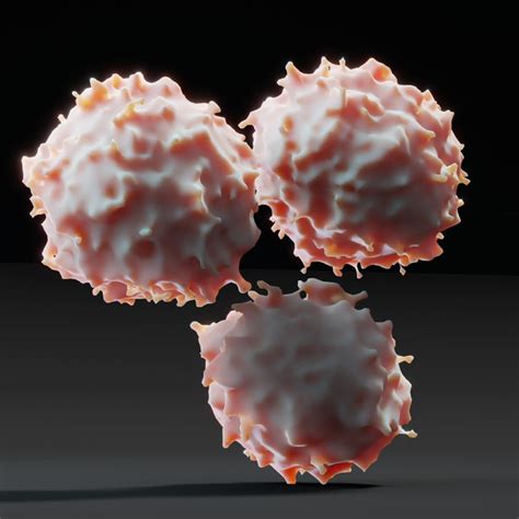 Lymphocyte Blood Cells 3d Turbosquid 1672523