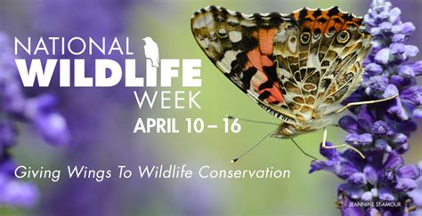 Canadian Wildlife Federation: National Wildlife Week Gives Wings to Wildlife Conservation by ...