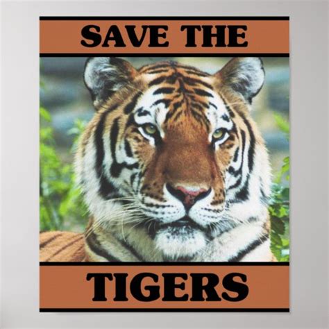 Save The Tigers Poster Zazzle Com