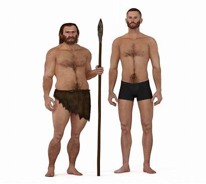 Neanderthal Neanderthals Humans Modern Different Between Differences