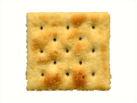 What Size Is A Graham Cracker Square Perpunk