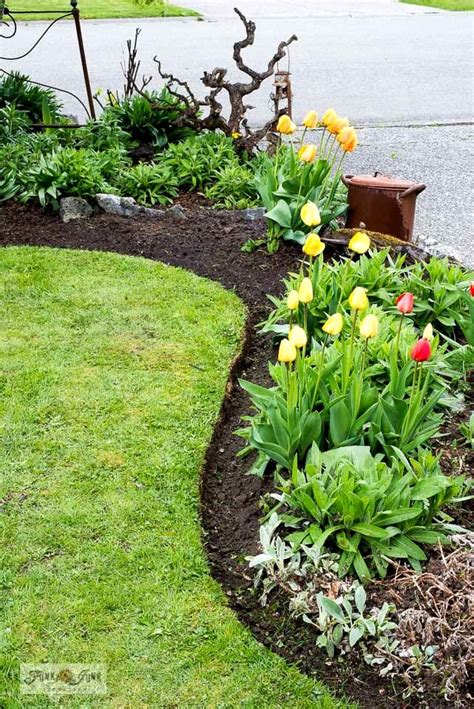 How To Recut Flower Bed Edges Like A Pro Part 2 With Video Flower