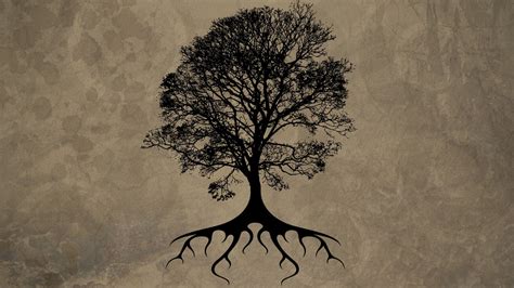 Free Tree Of Life Download Free Tree Of Life Png Images
