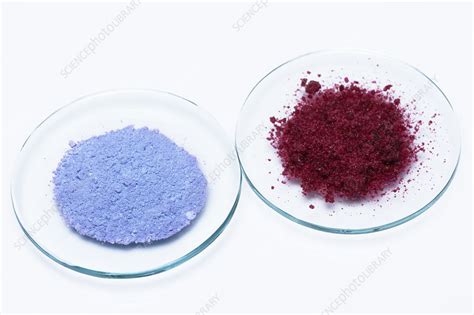 Anhydrous And Hydrated Cobalt Chloride Stock Image C0504826