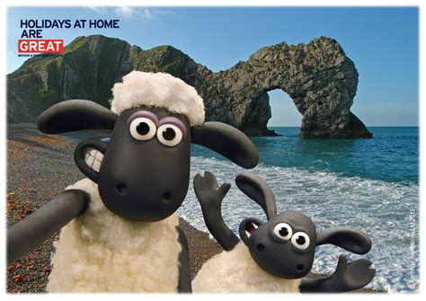 Two Black And White Sheep Standing Next To Each Other On A Beach With
