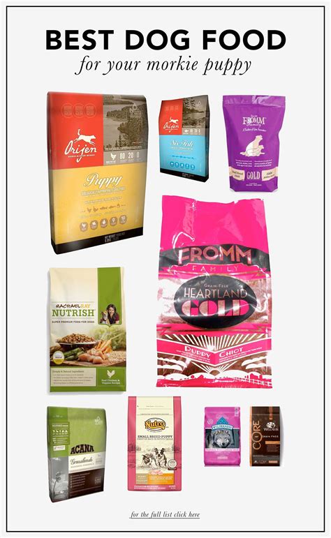 Unleash The Best Our Ultimate List Of Top 10 Dog Food Brands To Keep