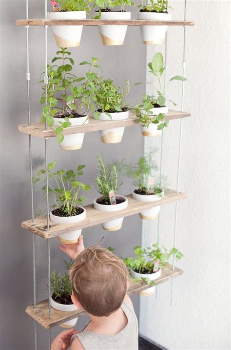 Ideas For A Stylish Indoor Kitchen Herb Garden New Decorating Ideas