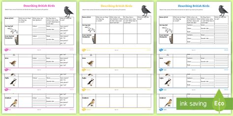 Bird Descriptive Writing Activity Teacher Made