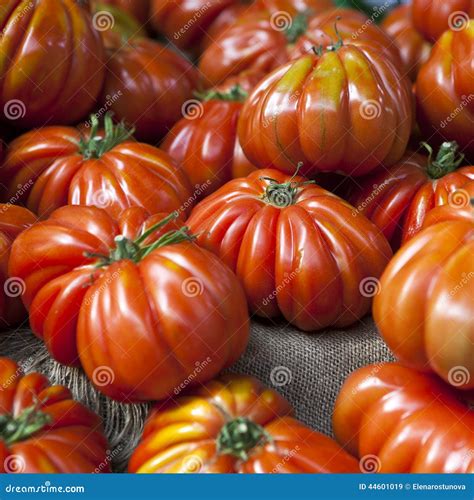Lufa Farms Beefsteak Tomato Stock Image Image Of Intact Hypermarket