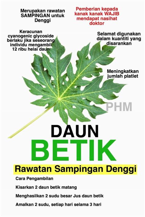 Selain daripada pembuka selera khasiat bunga betik itu sendiri baik untuk kesihatan dan salah satunya adalah. 2 Helai Pucuk Betik Sehari, Begini Cara Amalkan Untuk ...