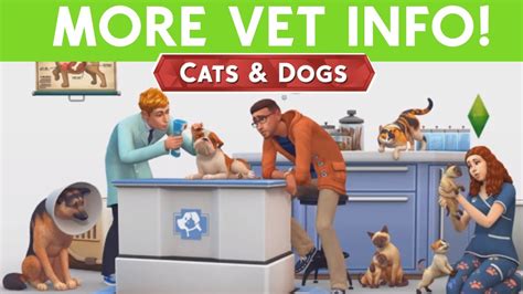 Sims 4 Cats And Dogs Vet Info Youtube