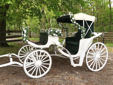 Hire Dianas Wedding Horses Horse Drawn Carriage In Mount Airy Maryland