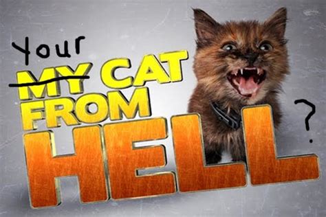 Catsparella My Cat From Hell Season 3 Casting Call