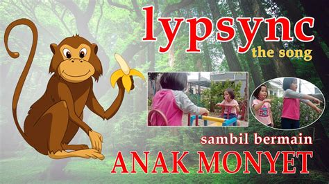 Video Lypsync Anak Monyet Di Atas Pohon Sambil Bermain Ditaman Youtube