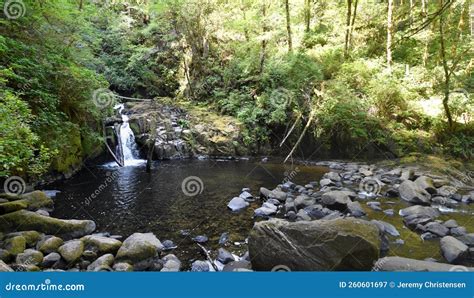 Sweet Creek Falls Waterfall Along Hiking Trail Complex Near Mapleton