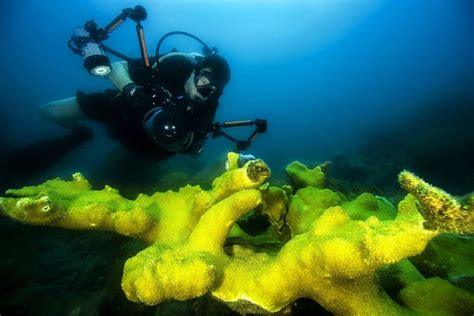 Underwater Photography Tips — Oceans To Alpines