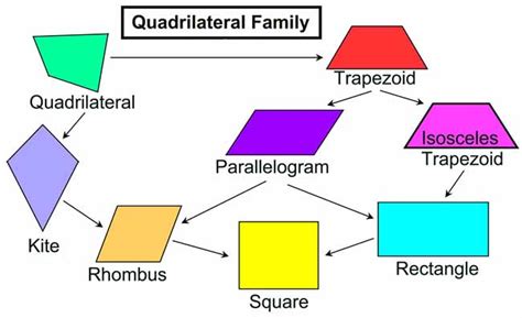 How Many Types Of Quadrilaterals Are There A Plus Topper