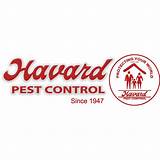 Best Pest Control Services Near Me Photos
