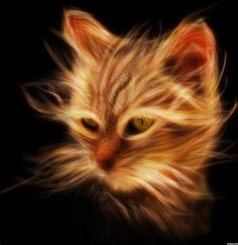 The Glowing Cat Picture By Rusvelt2000 For Your Own Photo Photoshop