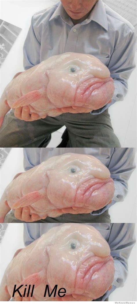 Thats One Of The Ugliest Things Ive Seen Blobfish Sea Creatures