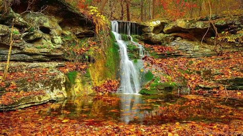 Waterfall Autumn Lovely Stream Fall Nature Leaves