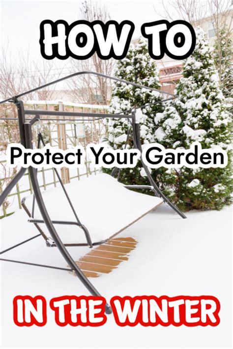 Protecting Your Garden In The Winter Dian Farmer Learning To Grow Our