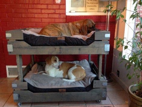 How To Build A Bunk Bed For Your Pets Diy Projects For Everyone