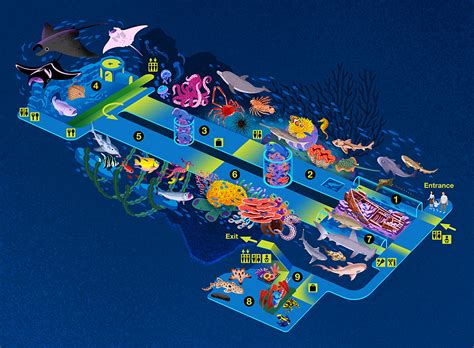 Sea Aquarium Map Iroiro