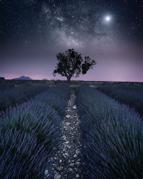 Starry Night Milky Way Photography Nature Photographs Landscape